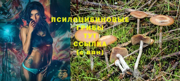 ПСИЛОЦИБИНОВЫЕ ГРИБЫ Алексеевка
