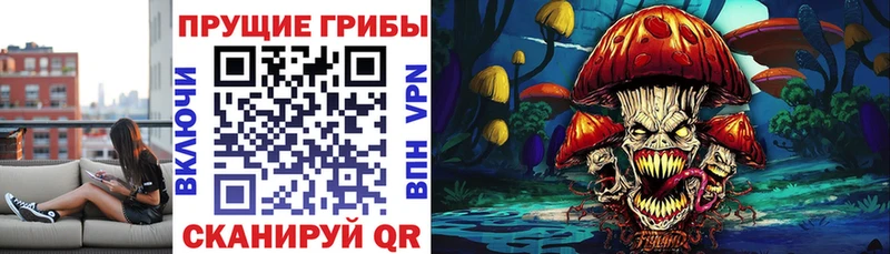 Псилоцибиновые грибы Psilocybine cubensis  сколько стоит  Сарапул 